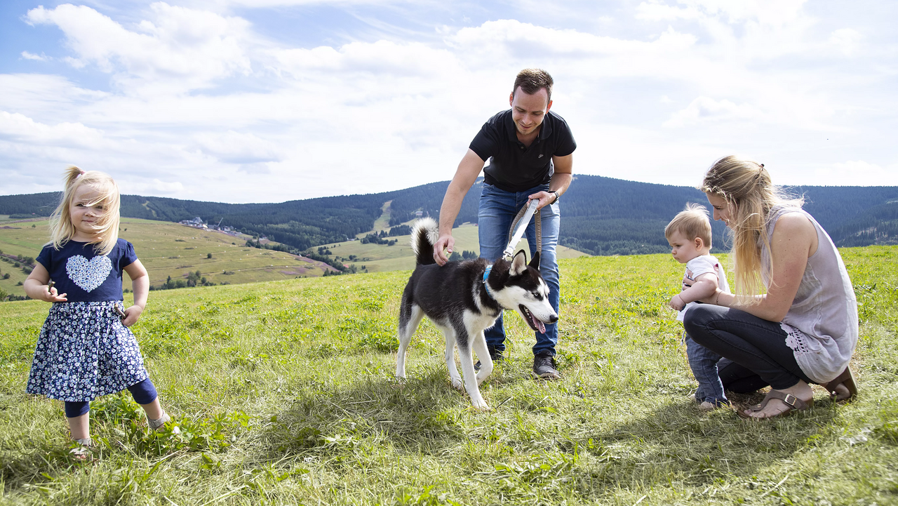 Mit Hund in den Urlaub! Elldus Familienwelt: Mit Hund in den Urlaub!
